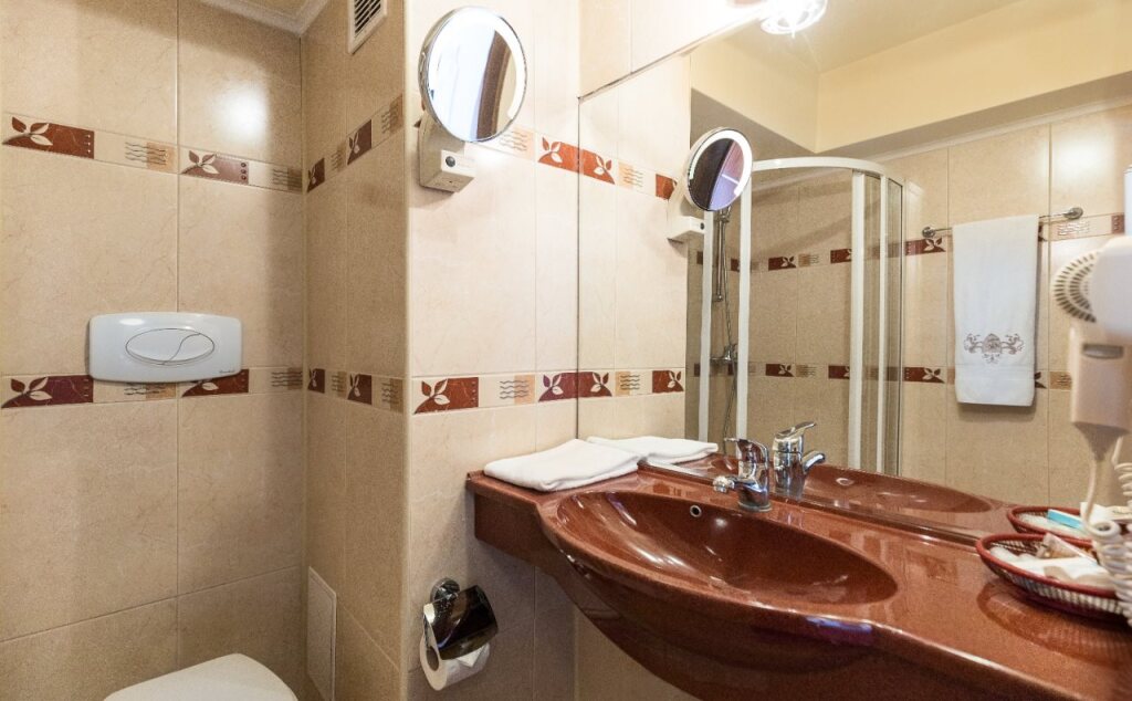 Prahova Plaza Hotel - 734