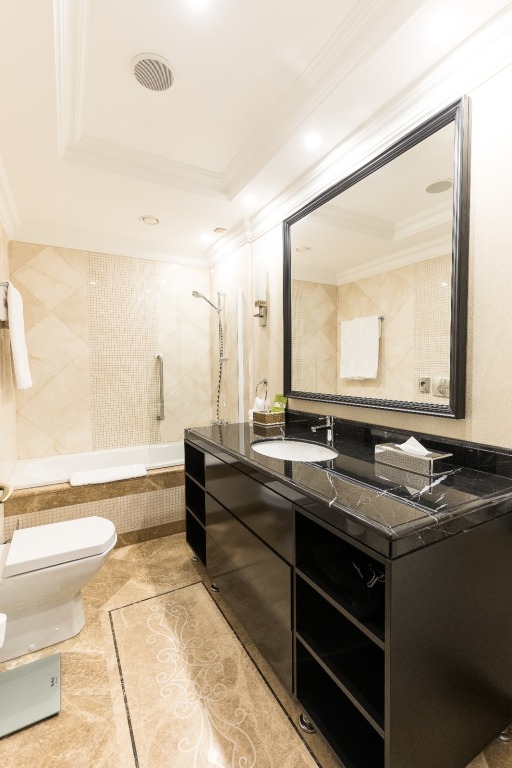 Prahova Plaza Hotel - 577