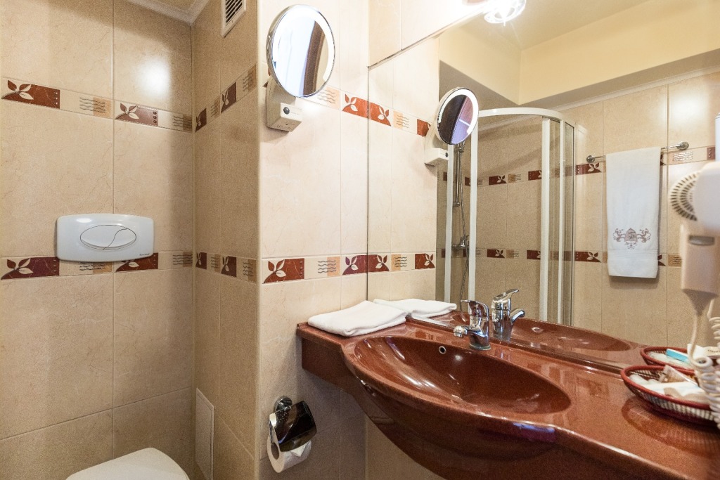 Prahova Plaza Hotel - 365