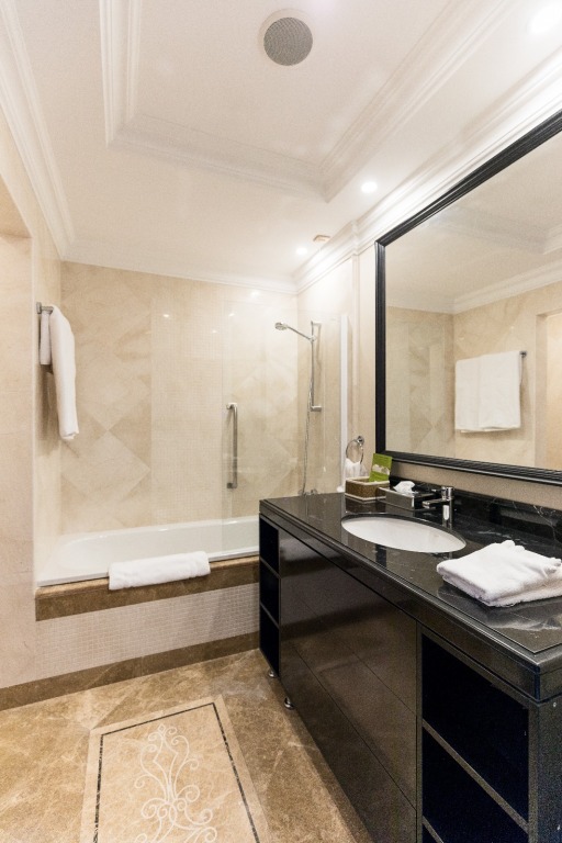 Prahova Plaza Hotel - 497