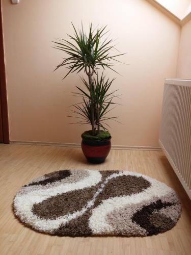 Premier Apartment - 677