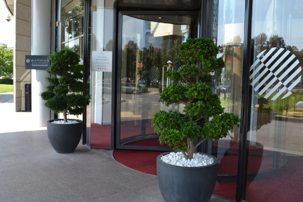 Pullman Bucharest World Trade Center Hotel - 182