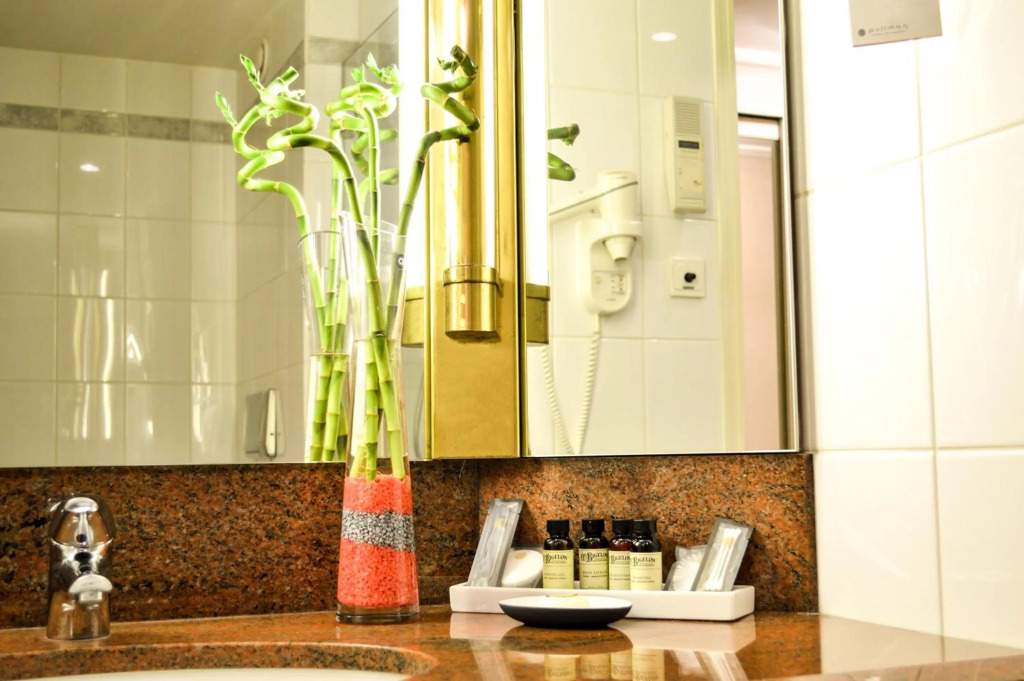 Pullman Bucharest World Trade Center Hotel - 992