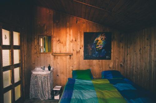 Pura Vida Beach Hostel - 11