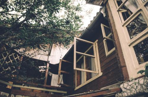 Pura Vida Beach Hostel - 985