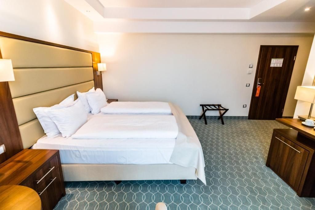 Hotel Radsor - 392
