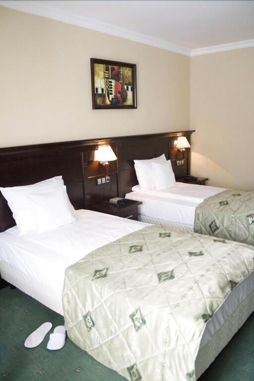 Hotel Rapsodia City Center - 746