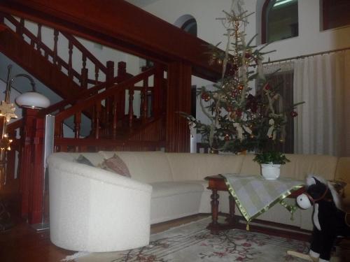Rapsodia Pension - 551