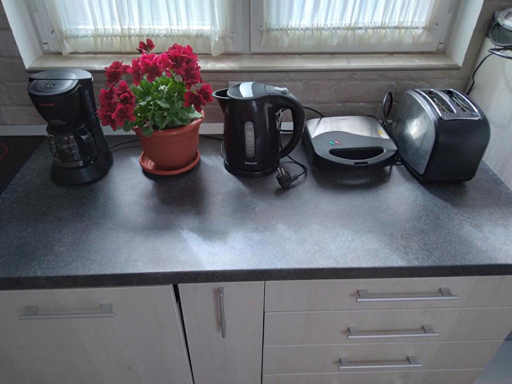 Raza Soarelui apartament de lux - 914