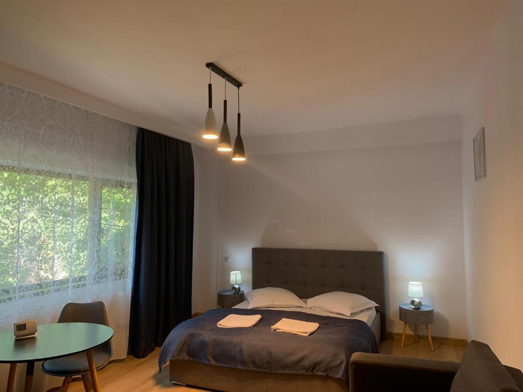 Residence SINAIA Apartments - 688