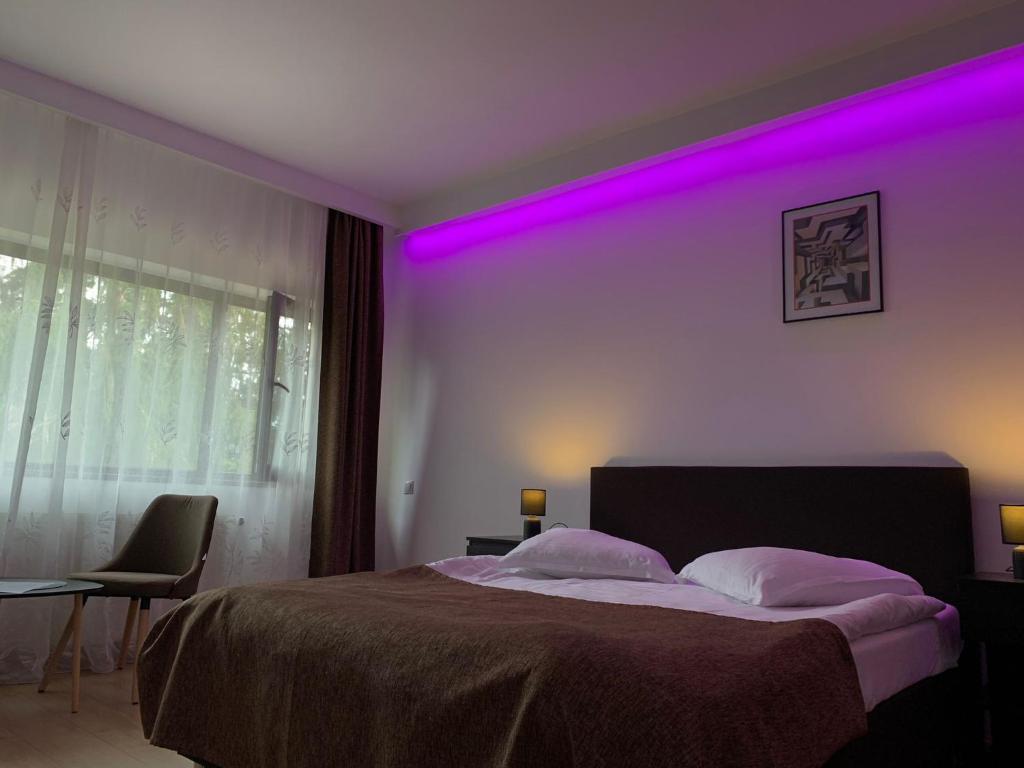 Residence SINAIA Apartments - 426