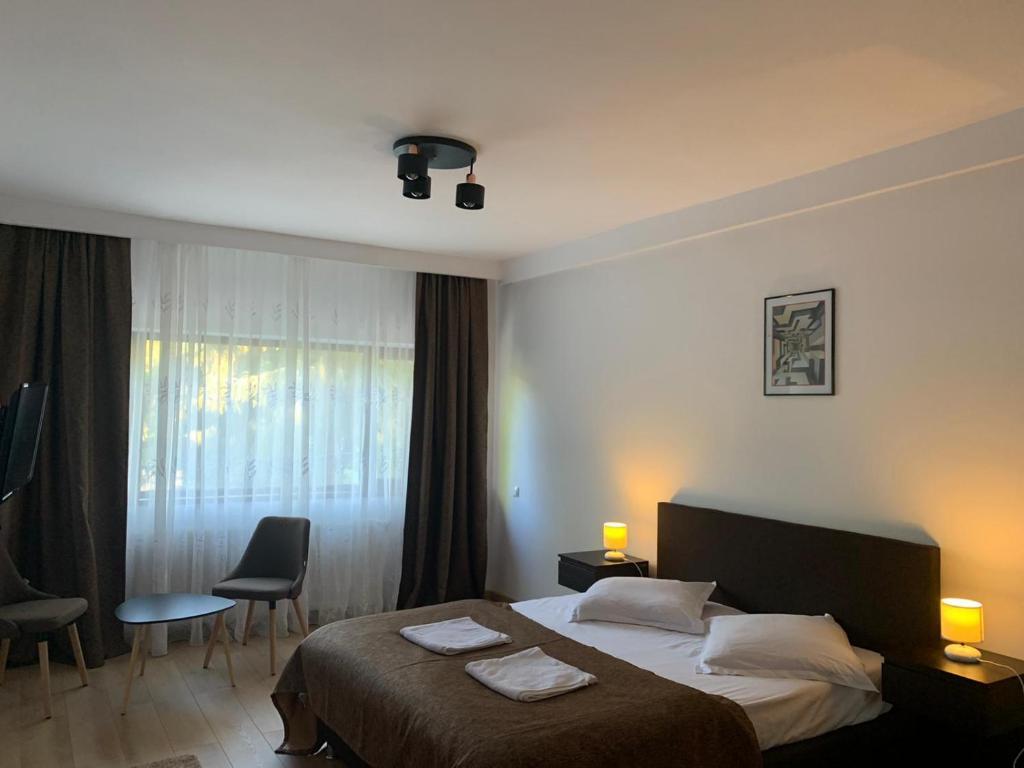 Residence SINAIA Apartments - 480