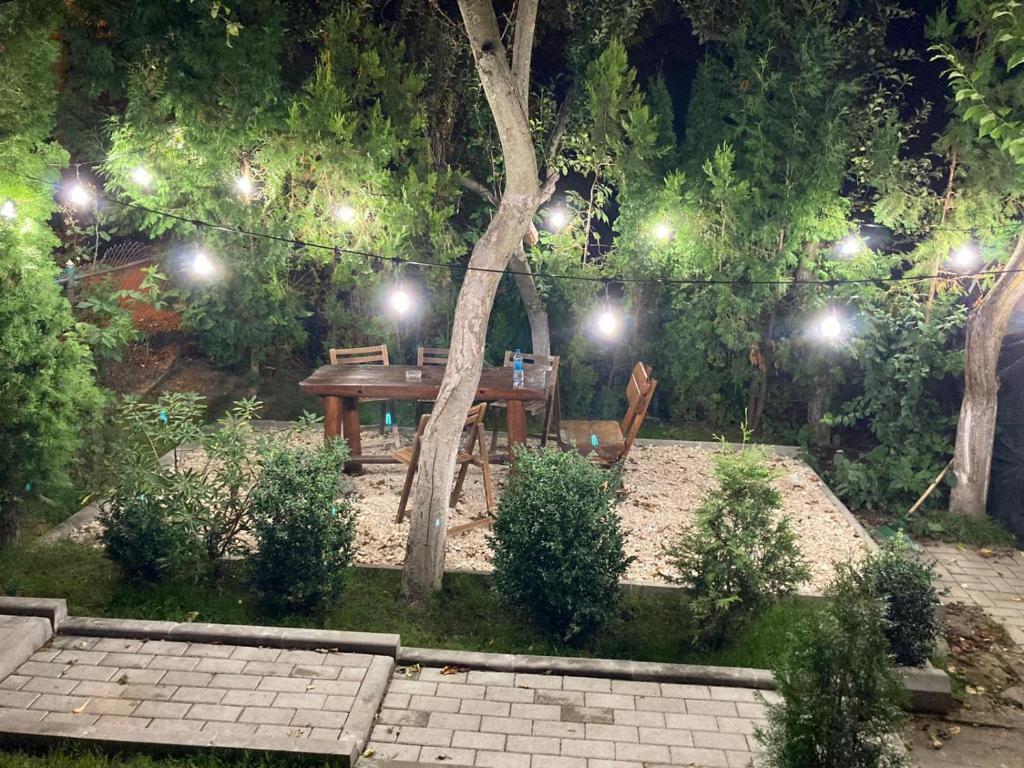 Residence SINAIA Apartments - 863