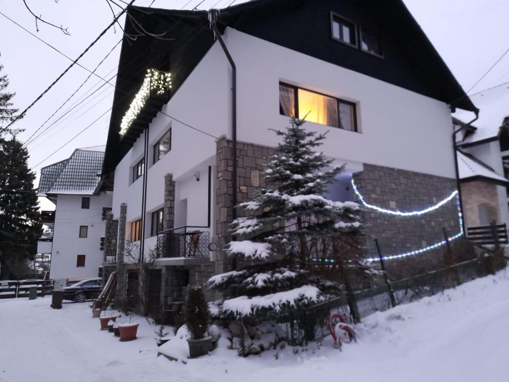 Residence SINAIA Apartments - 513