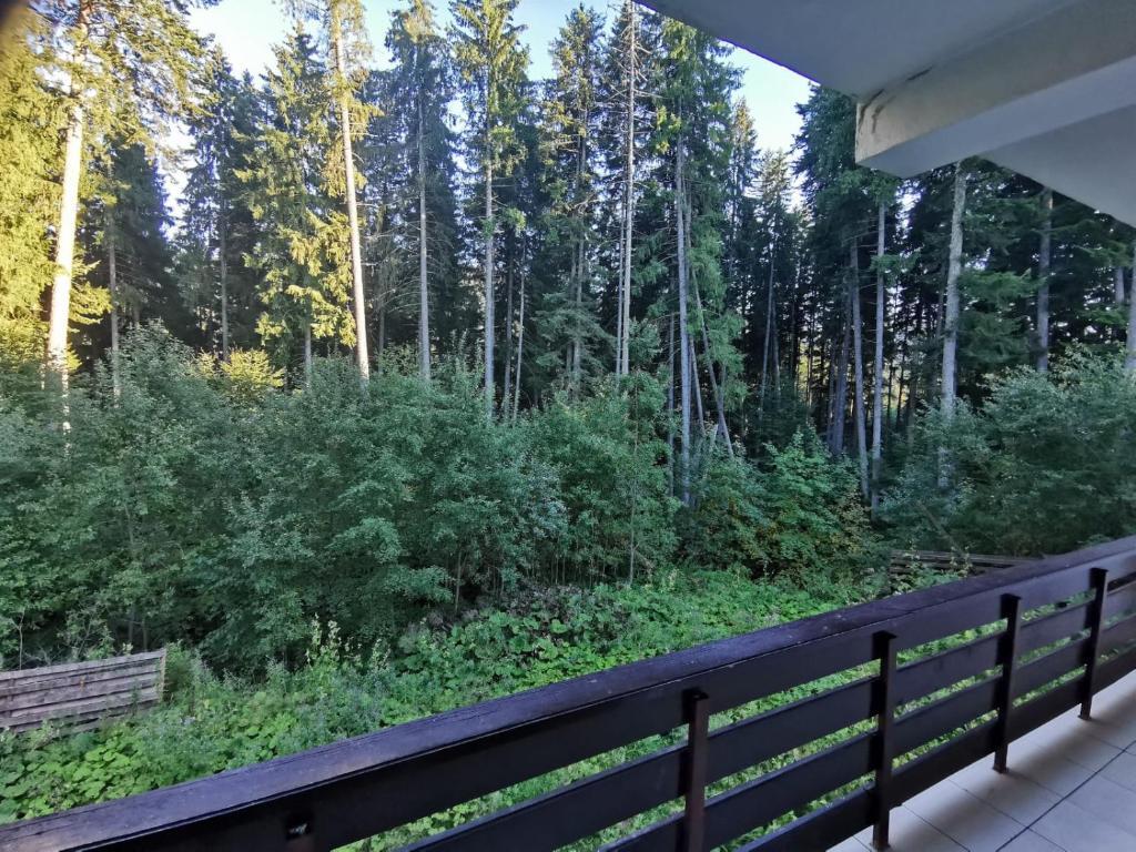 Residence Two - 878