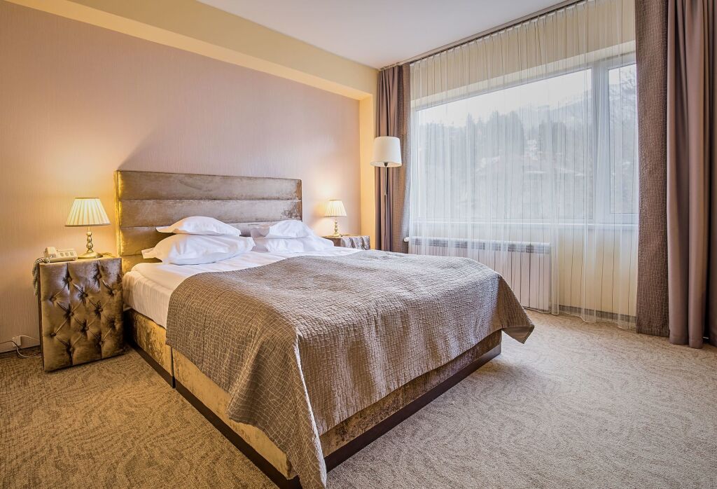 Hotel Sinaia - 759