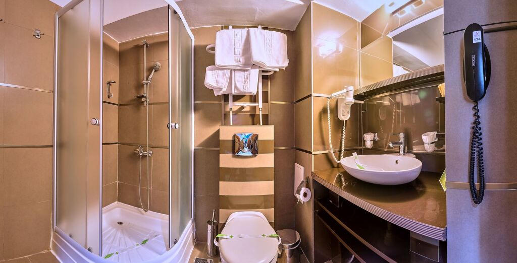 Hotel Sinaia - 326