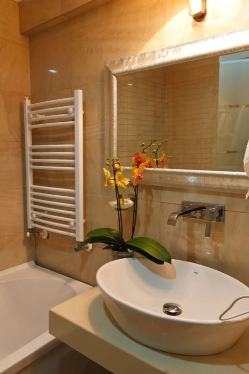 Hotel Roman By Dumbrava Business Resort - 971