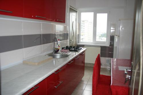 Salonul Rosu - 849