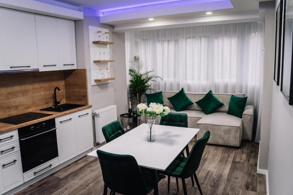Scandinavian Lux Apartment Oradea - 177