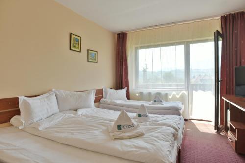 Serena Guesthouse Bran - 646