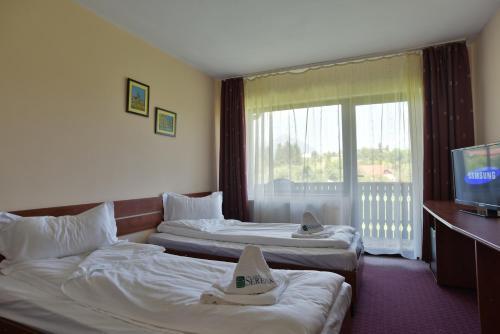 Serena Guesthouse Bran - 348