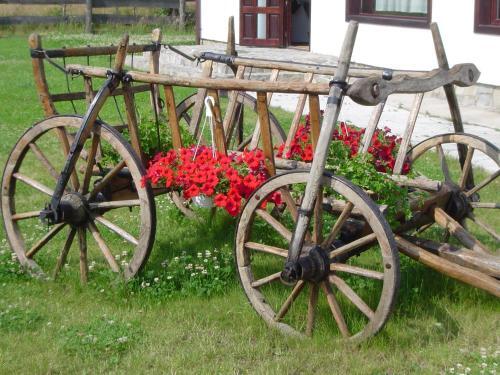 Serena Guesthouse Bran - 731