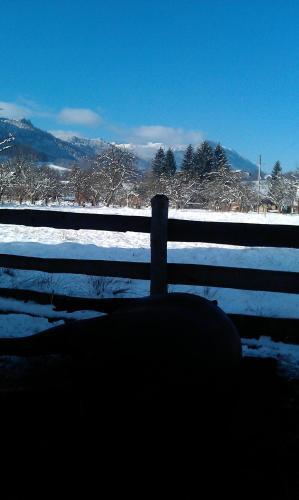 Serena Guesthouse Bran - 569