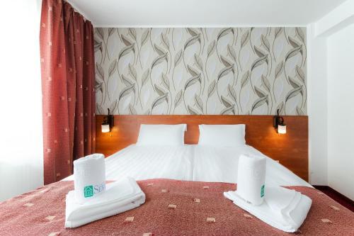 Serena Guesthouse Bran - 54