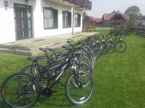 Serena Guesthouse Bran - 847
