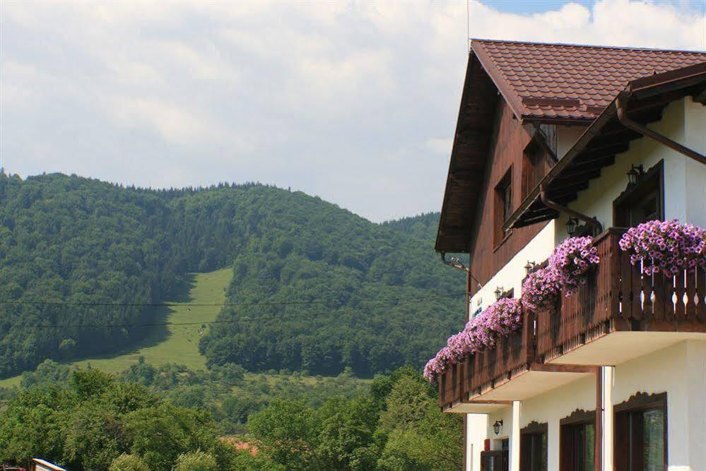 Serena Guesthouse Bran - 682