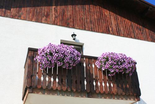 Serena Guesthouse Bran - 808