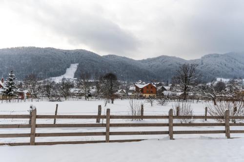 Serena Guesthouse Bran - 251
