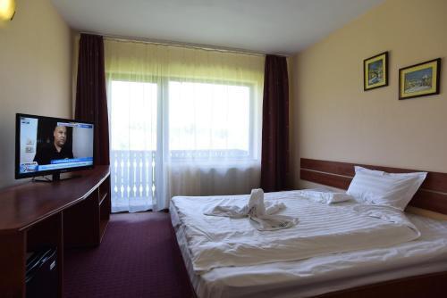 Serena Guesthouse Bran - 287