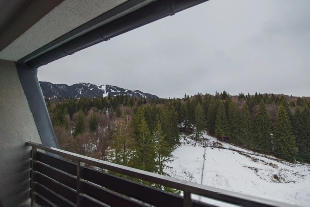 Silver Mountain Resort & SPA - 347