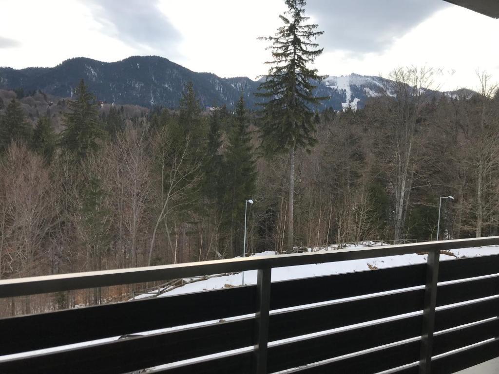 Silver Mountain G1 21 R - 197