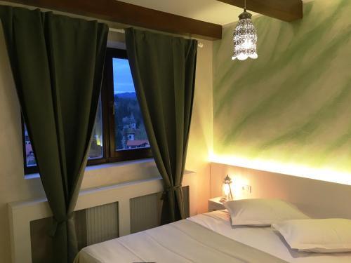Sinaia view - 877
