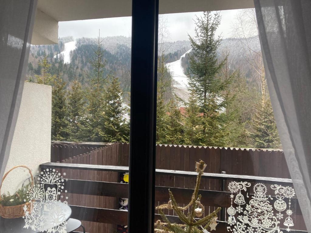 Ski View Studio - Near the Ski Slopes - 985