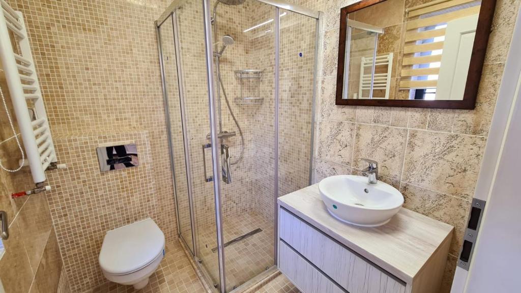 Smart Home in Sibiu Suburbs - 607