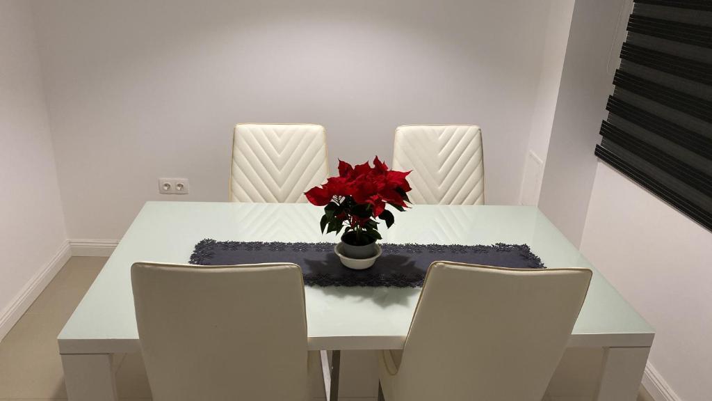 Smart Home in Sibiu Suburbs - 721