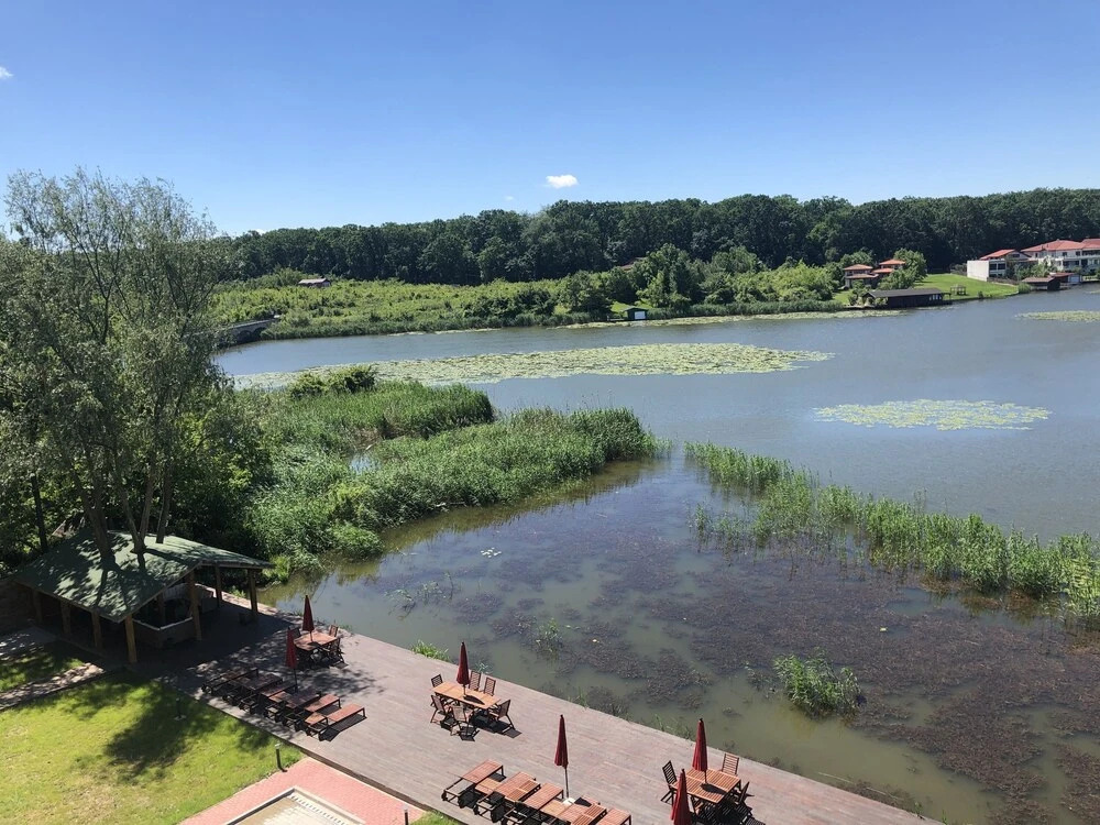 Snagov Lake Suites - 77