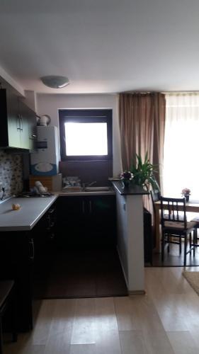 Snow Residence Azuga - 733