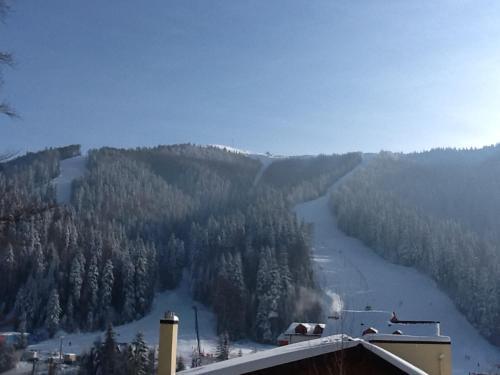 Snow Residence Azuga - 421