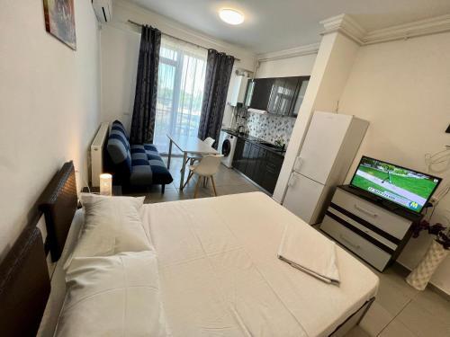 Solid Residence Apartamente - 780