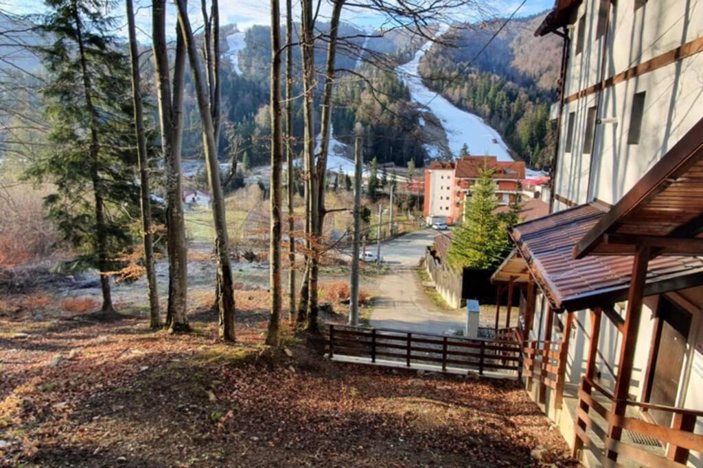 Sorica Studio - near the ski slopes - 343