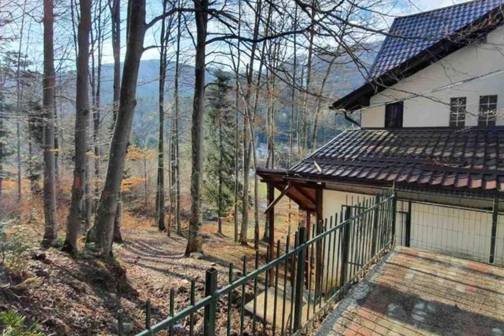 Sorica Studio - near the ski slopes - 525
