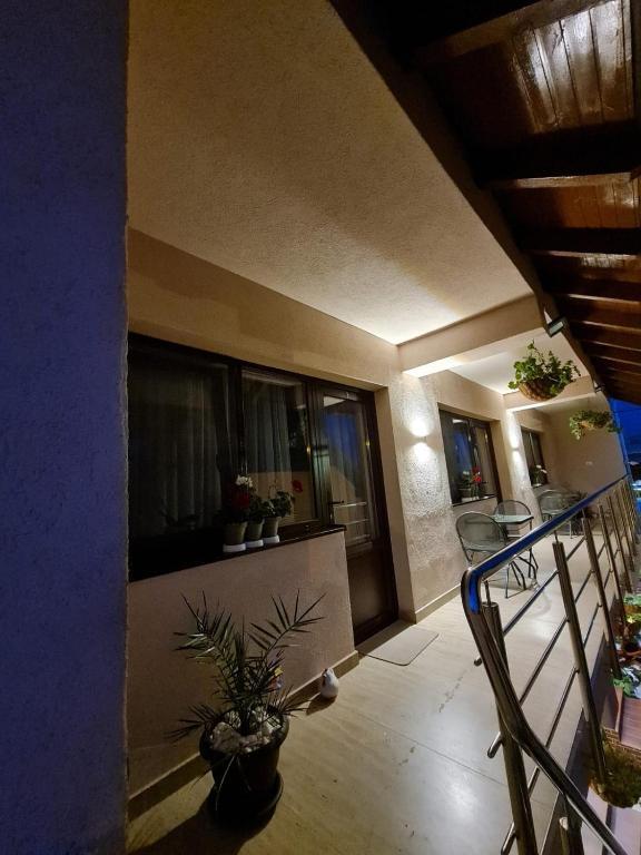 Splendid House - 836