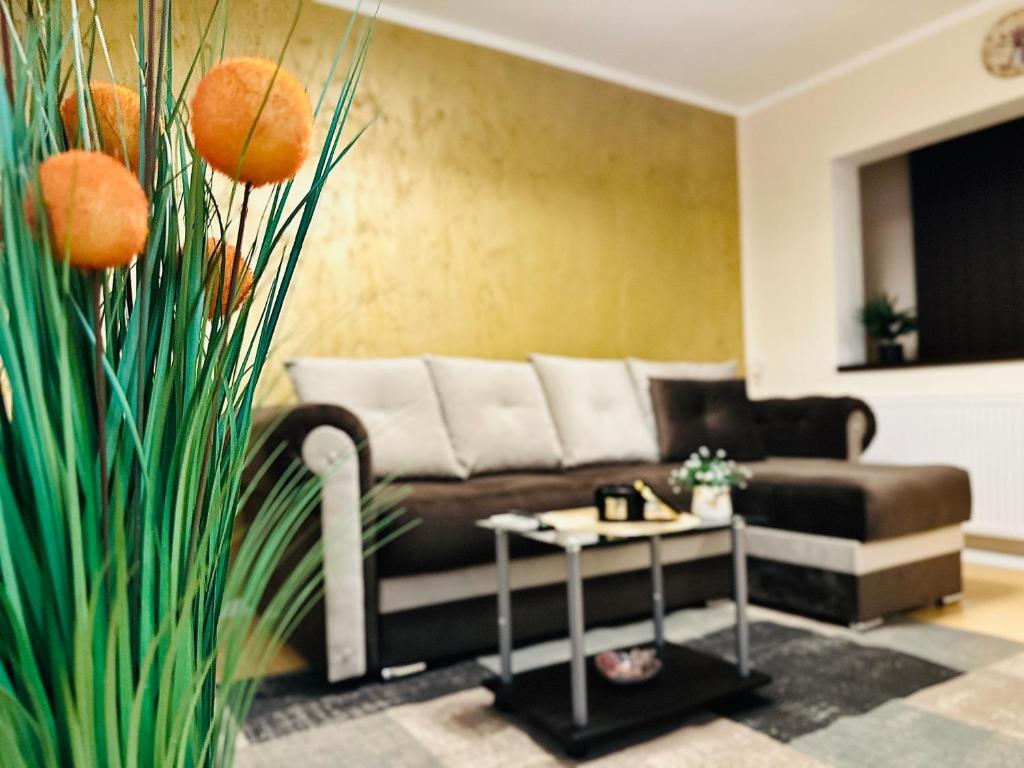 S&S Apartments Studio Apartment New ! - 176