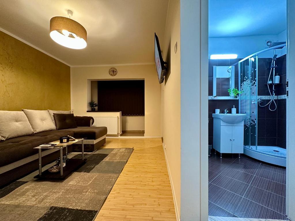 S&S Apartments Studio Apartment New ! - 952