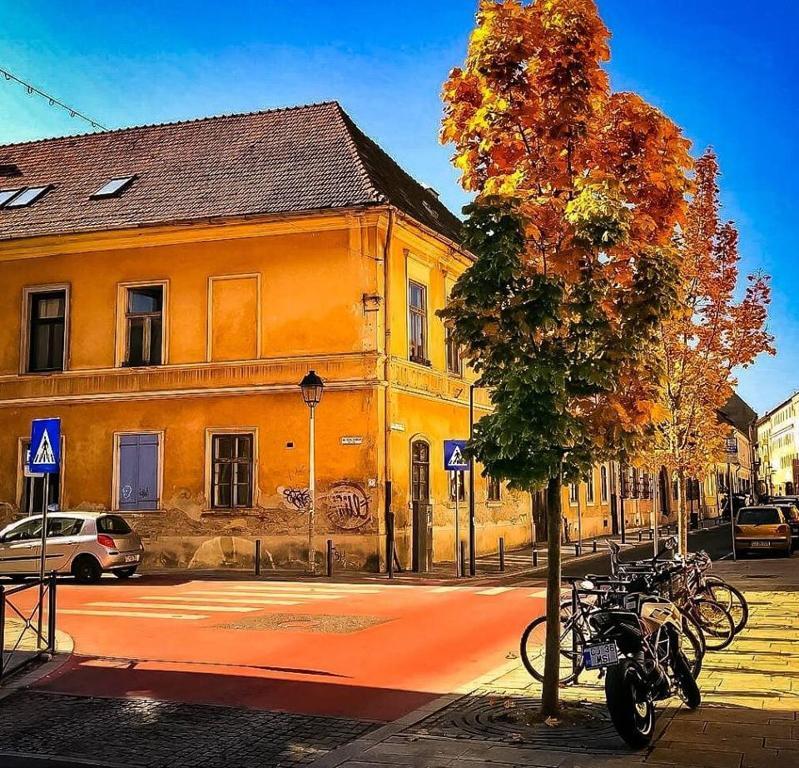 Strada Ion I. C. Bratianu Nr.24 - 615